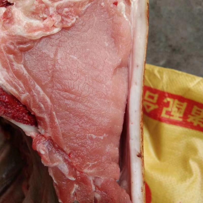 新鲜活杀山猪肉，全国发货，质量稳定，长期供应