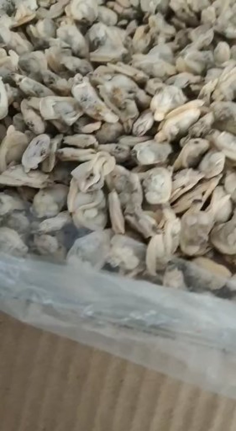 杂色蛤肉高品质，无沙无冰，出口标准。全规格都有货