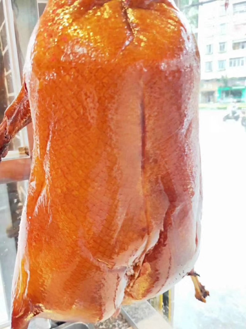 广东正宗清远黑棕鹅乌棕鹅草鹅