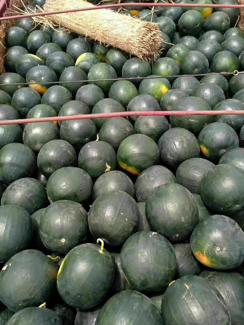 黑无籽西瓜，陕西大棚黑无籽西瓜大量上市中，黑无籽西瓜
