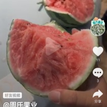 特小凤(自生苗)糖度高！自生苗！皮薄瓤脆！入口即化！