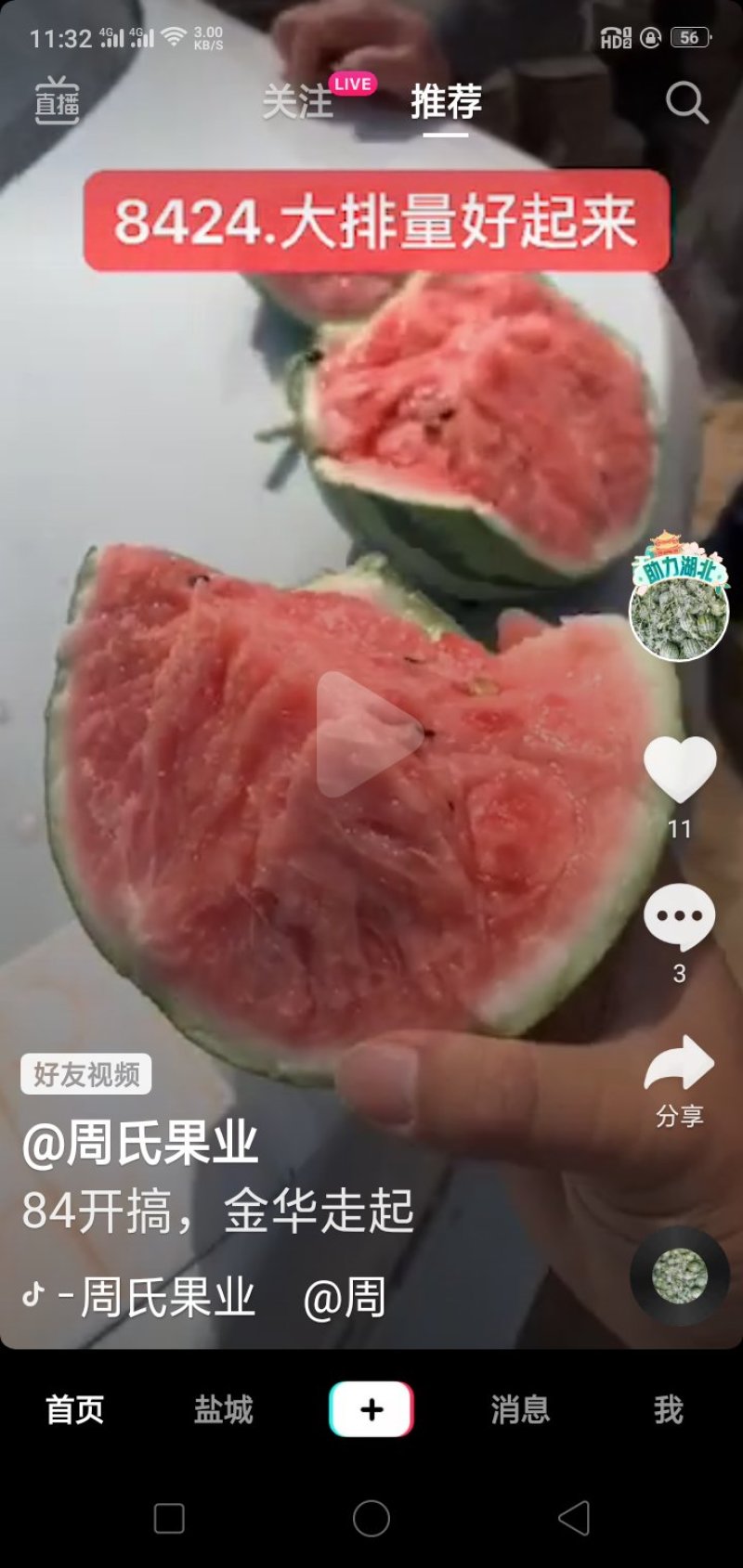 特小凤(自生苗)糖度高！自生苗！皮薄瓤脆！入口即化！