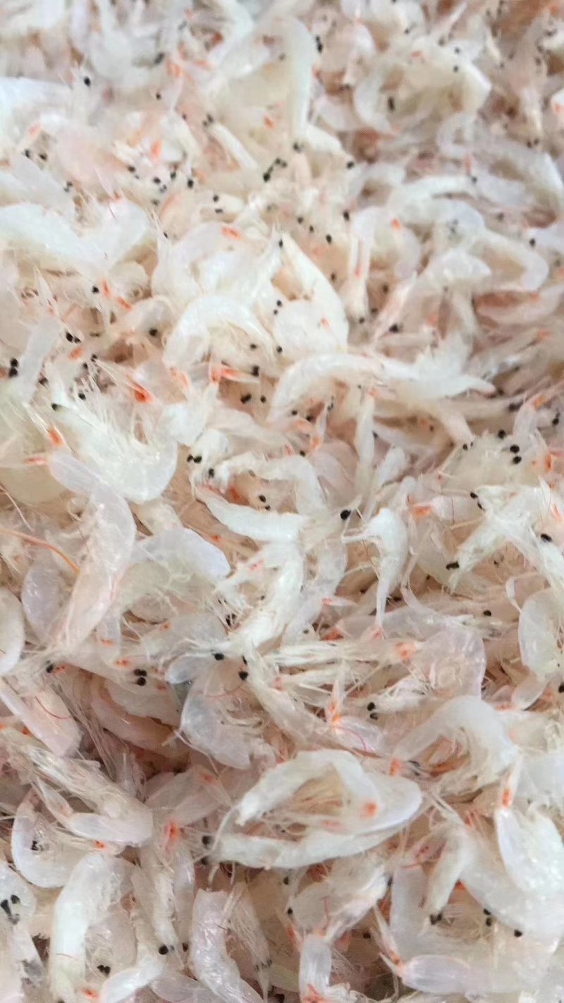 红虾，虾皮干，熟虾。