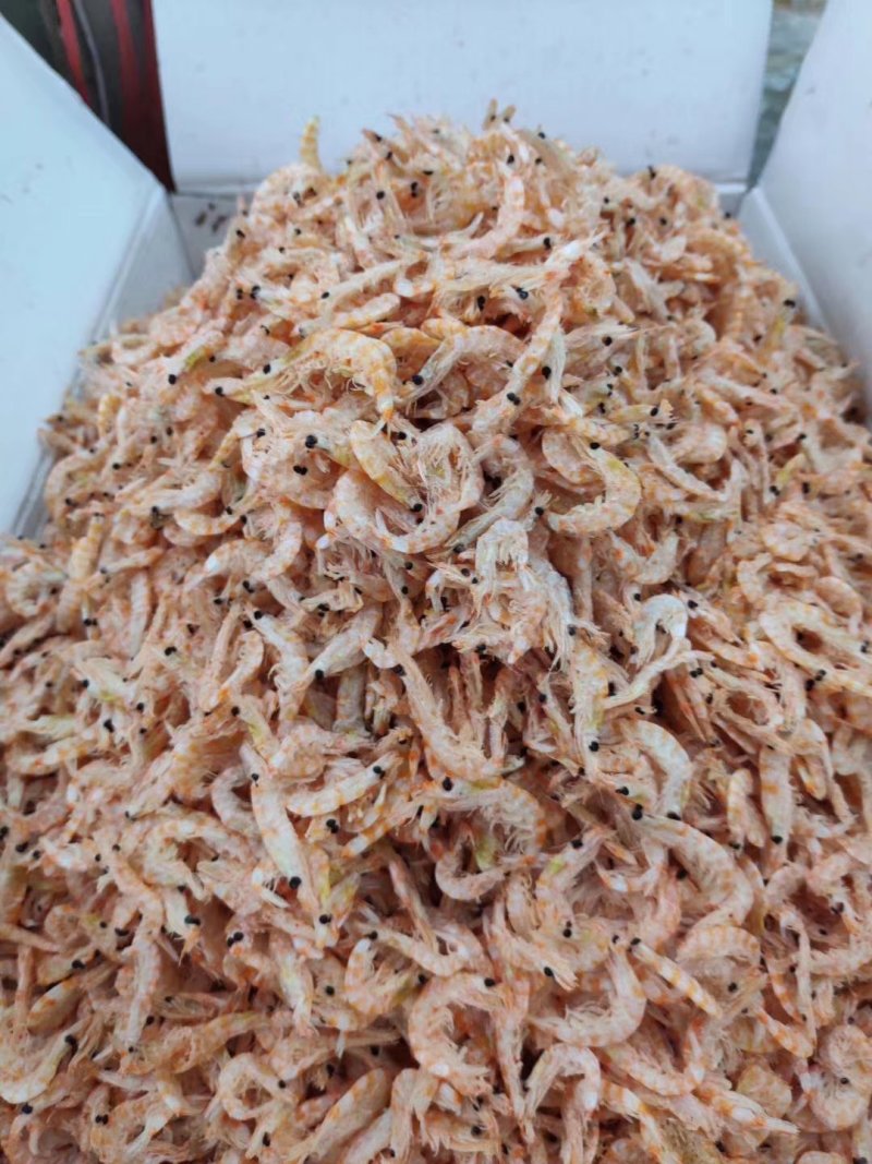 红虾，虾皮干，熟虾。