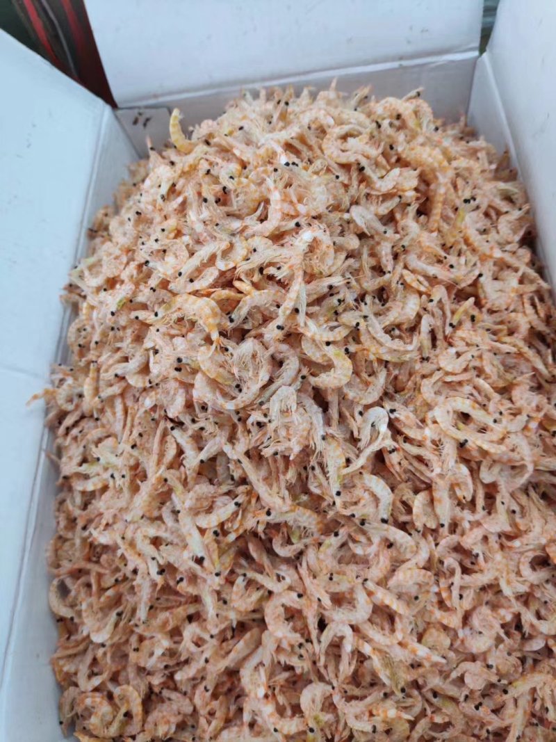 红虾，虾皮干，熟虾。