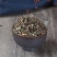 羊蹄草,产地直供道地药材,药典标准支持线上交易保障