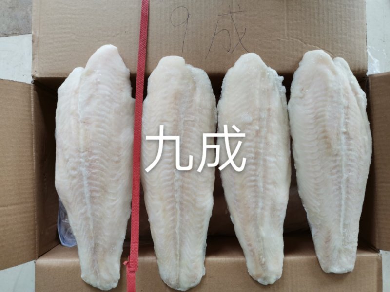 越南进口巴沙鱼柳全国发货