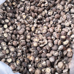 南阳产地优质筛选3.0干香菇/人工分捡/量大从优/诚信经营