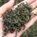 蒲公英花茶清热花茶批发一件代发