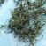 蒲公英花茶清热花茶批发一件代发