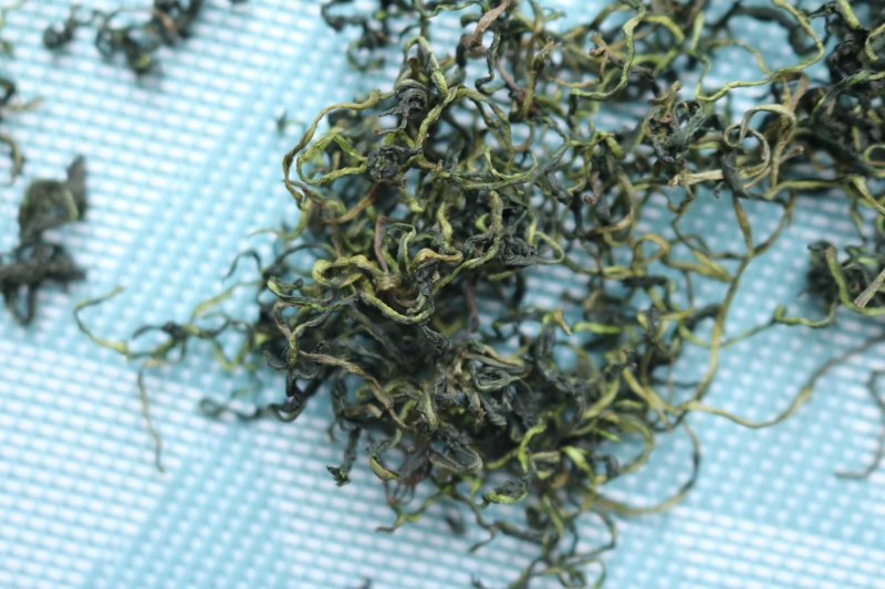 蒲公英花茶清热花茶批发一件代发