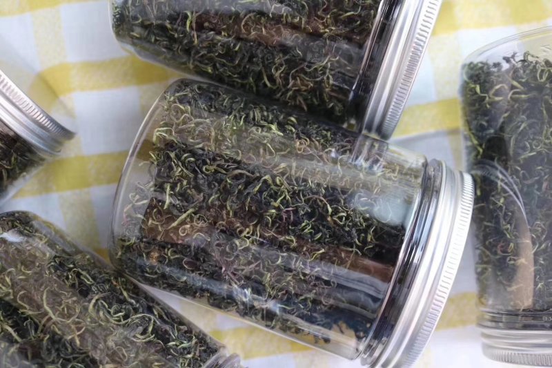 蒲公英花茶清热花茶批发一件代发
