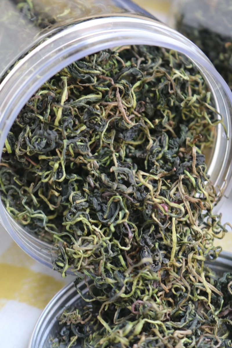 蒲公英花茶清热花茶批发一件代发