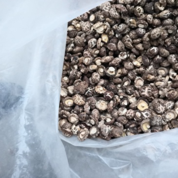 南阳精品干香菇/源头厂家一件代发2.5优质干香菇