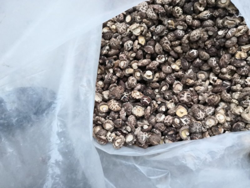 南阳精品干香菇/源头厂家一件代发2.5优质干香菇