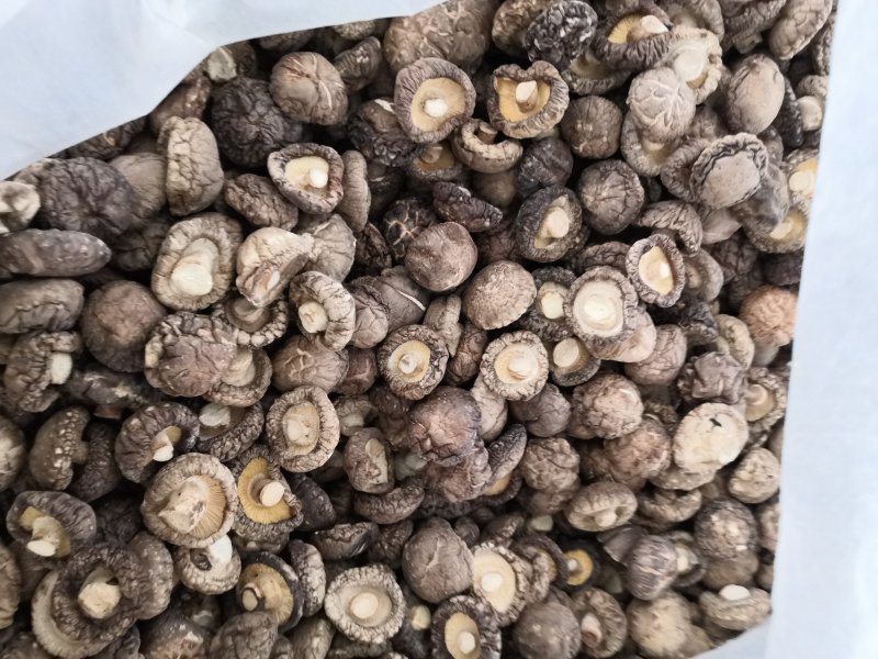南阳精品干香菇/源头厂家一件代发2.5优质干香菇