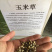 花草牧草草坪种子