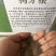 花草牧草草坪种子
