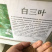花草牧草草坪种子