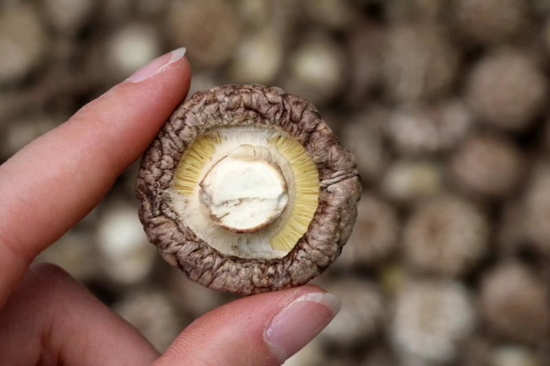 特级花菇大香菇香味浓郁肉质厚实批发一件代发