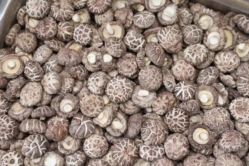 特级花菇大香菇香味浓郁肉质厚实批发一件代发