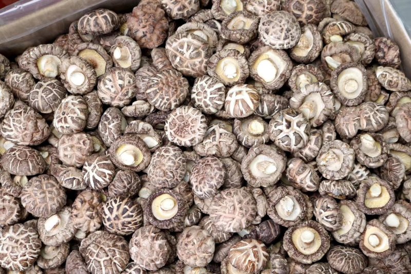 特级花菇大香菇香味浓郁肉质厚实批发一件代发