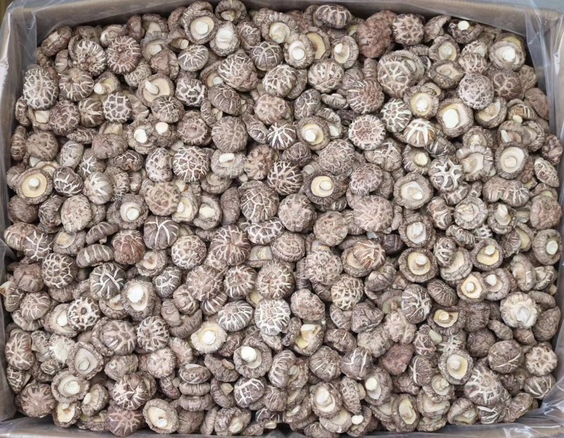 特级花菇大香菇香味浓郁肉质厚实批发一件代发