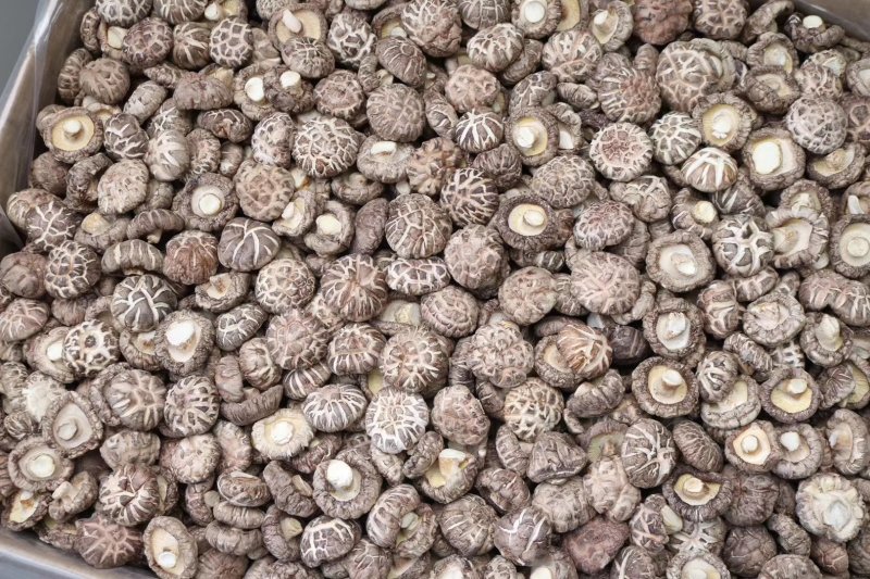 特级花菇大香菇香味浓郁肉质厚实批发一件代发