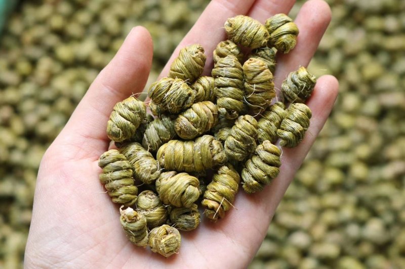 特级铁皮石斛胶质重没有渣肉质紧实饱满多胶靓货