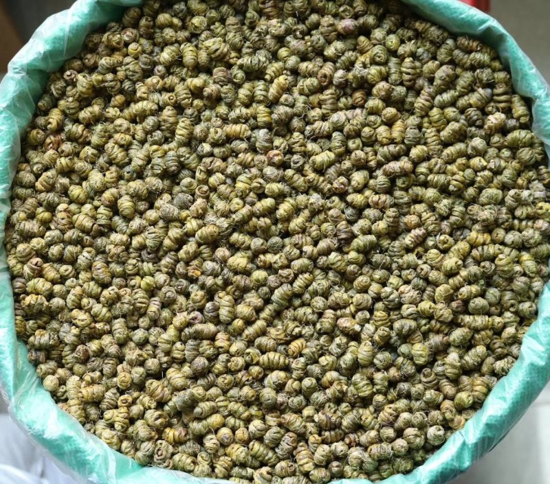 特级铁皮石斛胶质重没有渣肉质紧实饱满多胶靓货