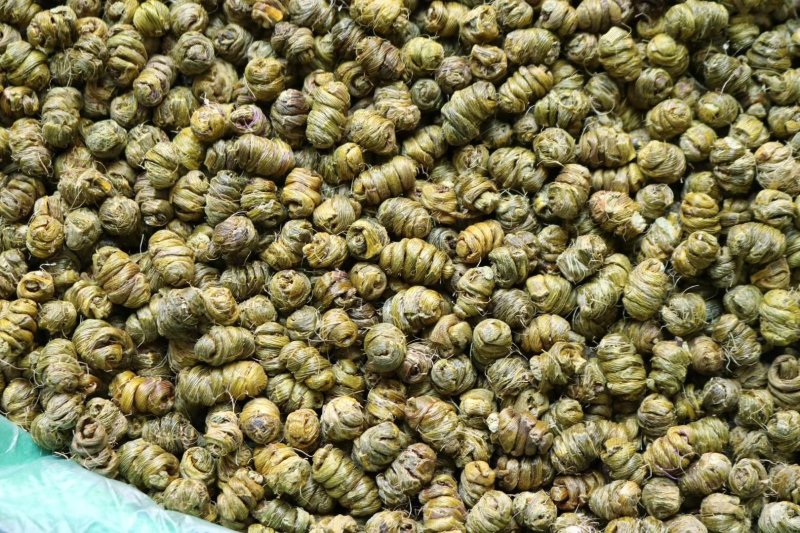 特级铁皮石斛胶质重没有渣肉质紧实饱满多胶靓货