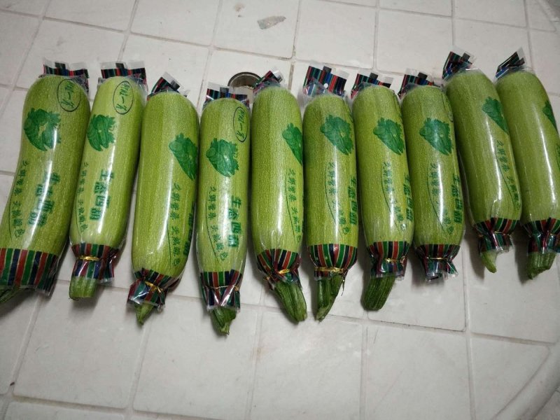 产地直发精品油绿西葫芦，大量上市中，各种包装
