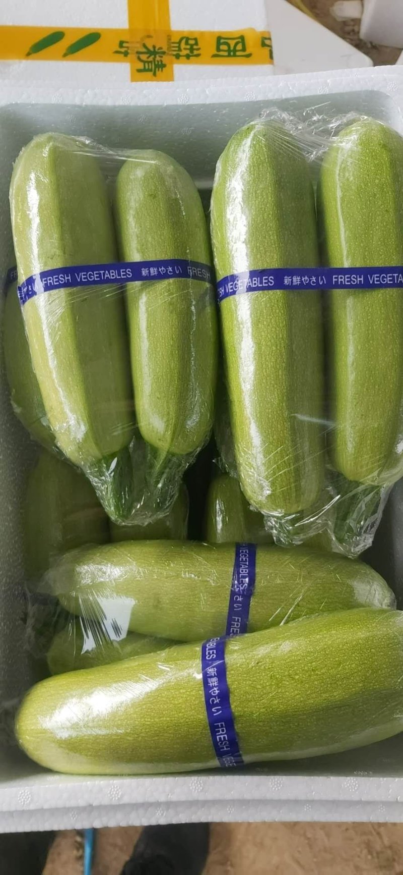 产地直发精品油绿西葫芦，大量上市中，各种包装