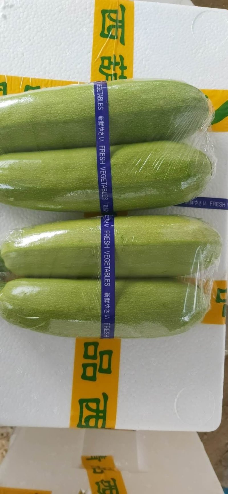 产地直发精品油绿西葫芦，大量上市中，各种包装