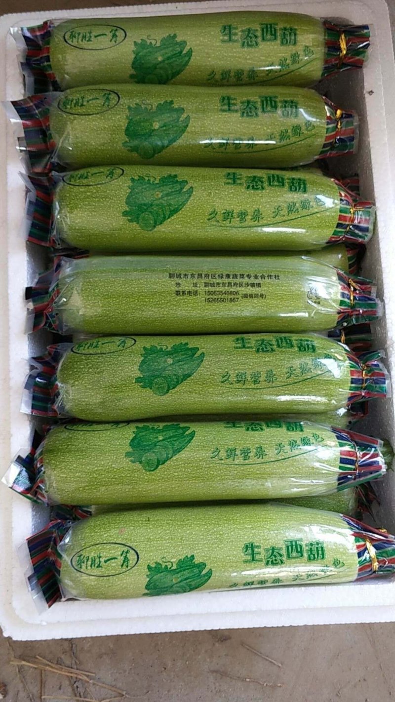 产地直发精品油绿西葫芦，大量上市中，各种包装