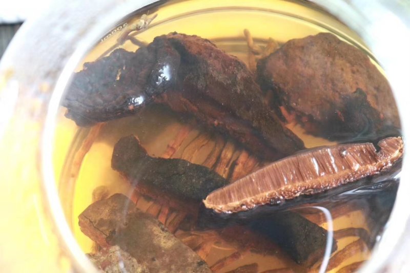 海南薄树灵芝味道清香口感甘滑顺口不苦不涩批发一件代发
