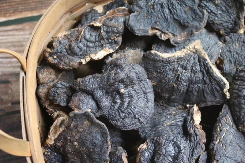 海南薄树灵芝味道清香口感甘滑顺口不苦不涩批发一件代发