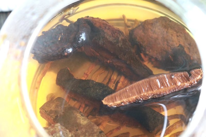 海南薄树灵芝味道清香口感甘滑顺口不苦不涩批发一件代发