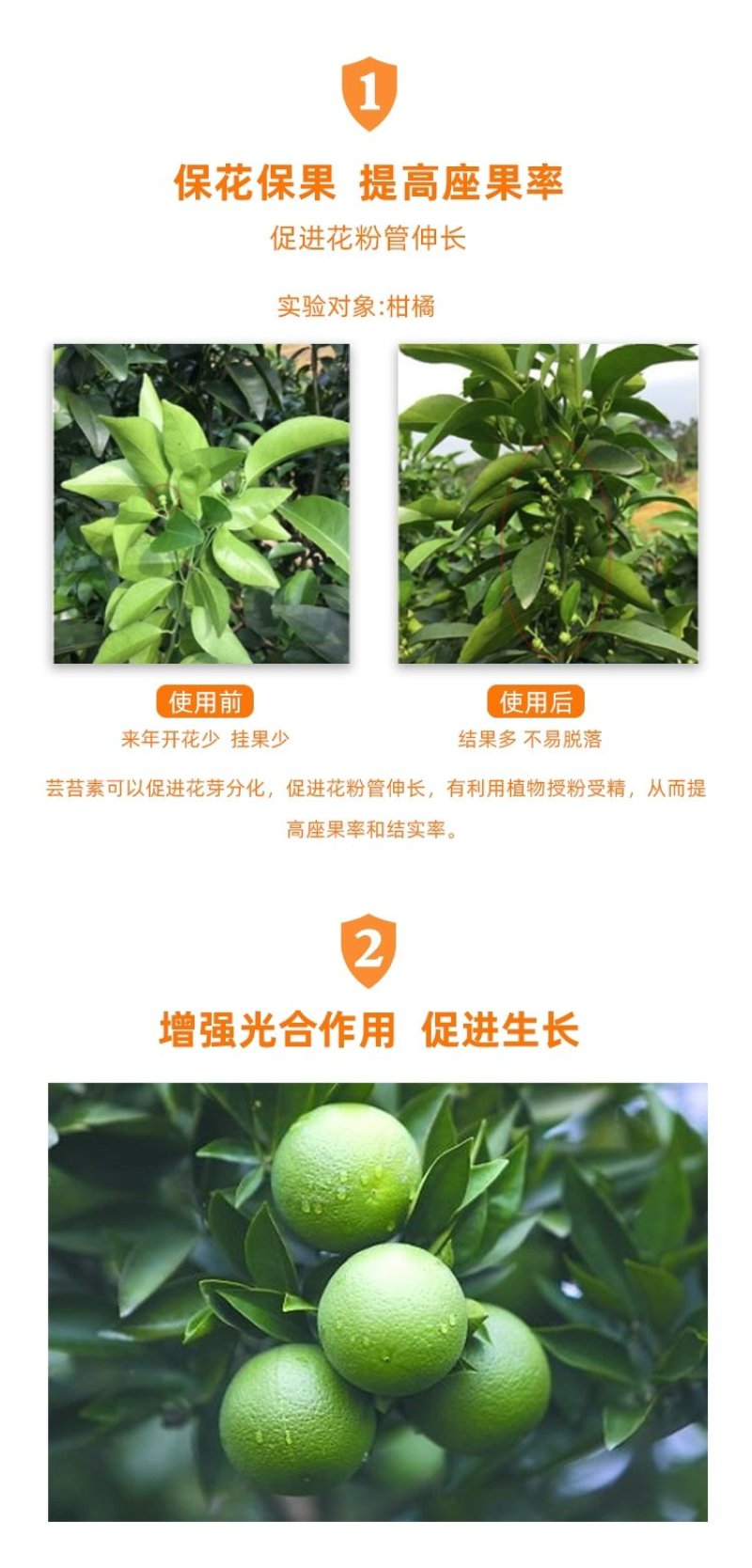 芸苔素14-羟基芸苔素甾醇保花保果植物生长调节剂保花保果