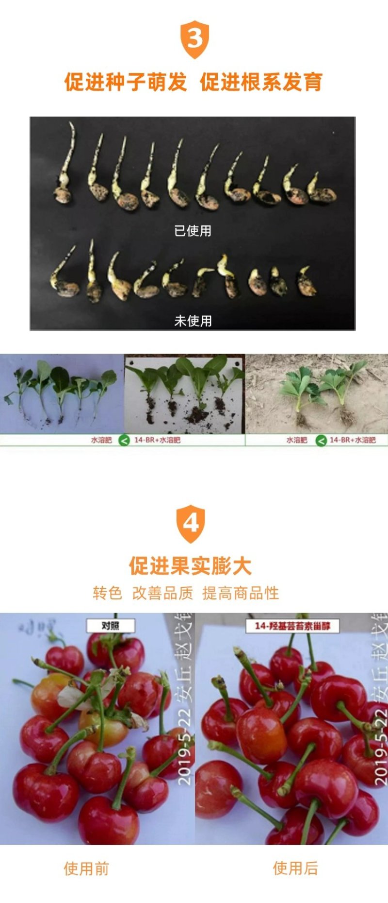 芸苔素14-羟基芸苔素甾醇保花保果植物生长调节剂保花保果