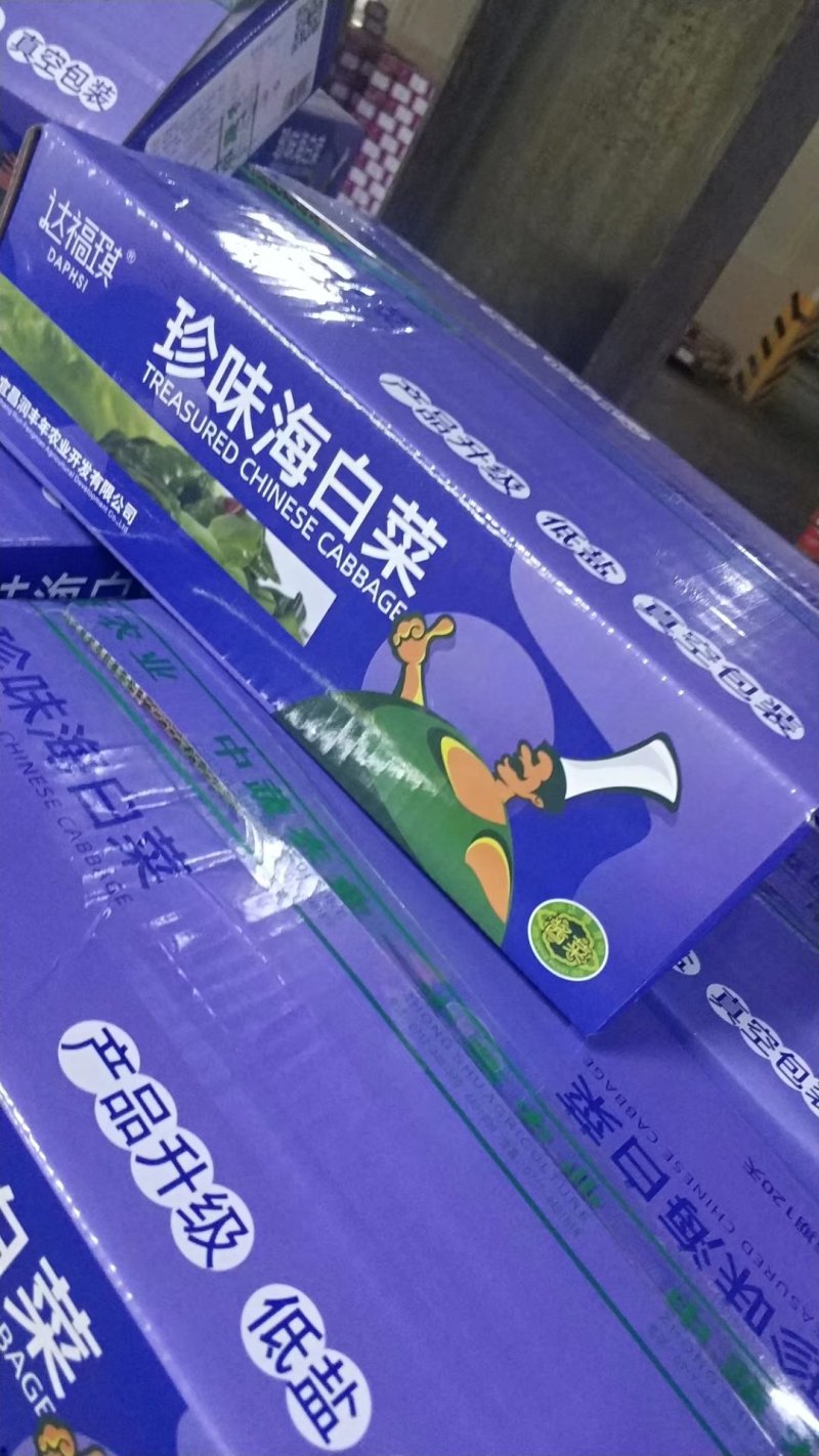 可视频看货达福琪酱菜散装袋装厂家直供咸菜批发珍味海白菜