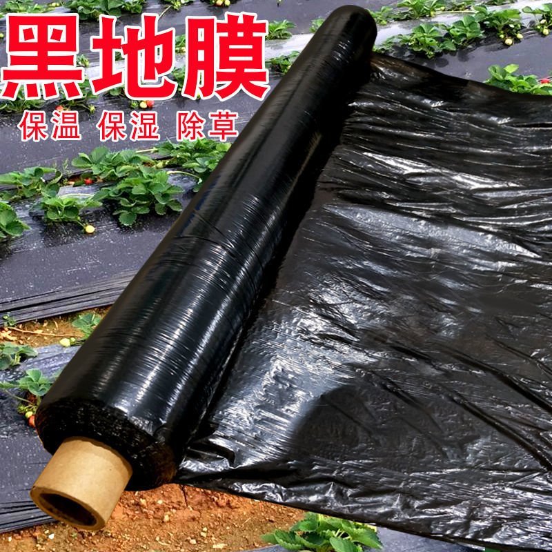 地膜
