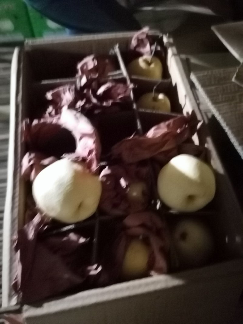 王国酥梨，大量批发销售中，各种规格，各种包装，货源充足！