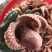 半熟八爪鱼七分熟章鱼新鲜现煮海鲜大咖火锅烧烤自助餐厅
