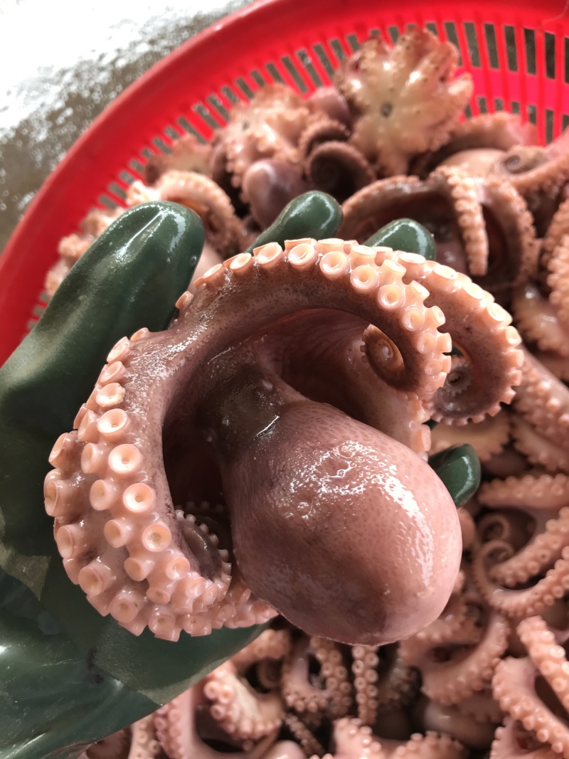 半熟八爪鱼七分熟章鱼新鲜现煮海鲜大咖火锅烧烤自助餐厅