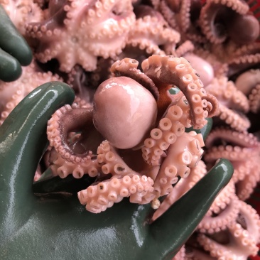 半熟八爪鱼七分熟章鱼新鲜现煮海鲜大咖火锅烧烤自助餐厅