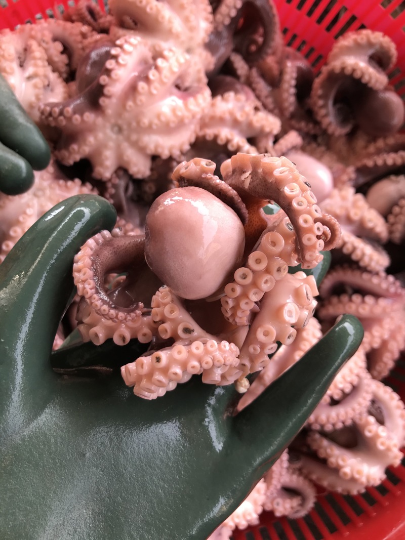 半熟八爪鱼七分熟章鱼新鲜现煮海鲜大咖火锅烧烤自助餐厅
