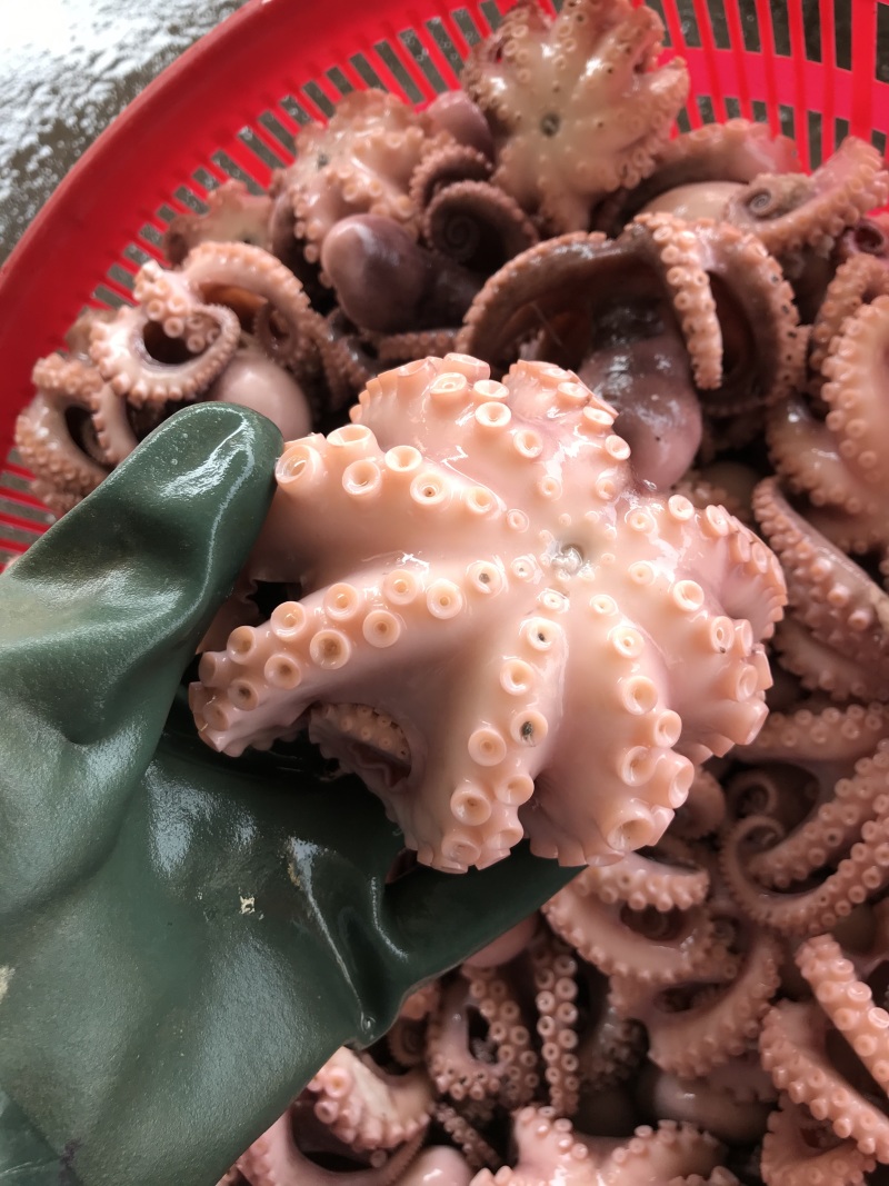 半熟八爪鱼七分熟章鱼新鲜现煮海鲜大咖火锅烧烤自助餐厅