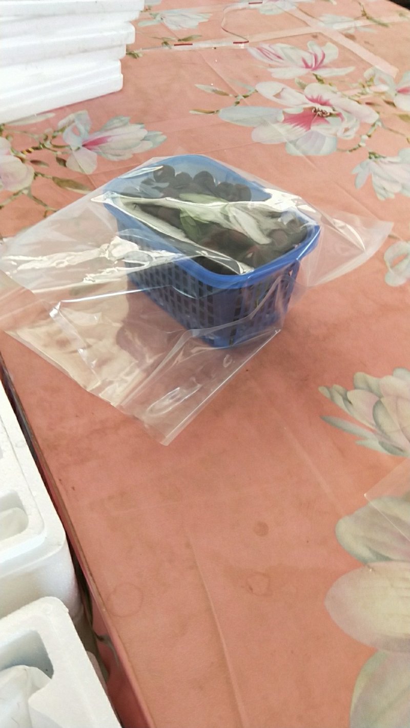 欢迎订购