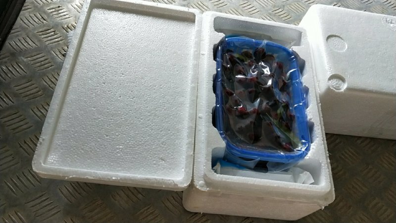 欢迎订购